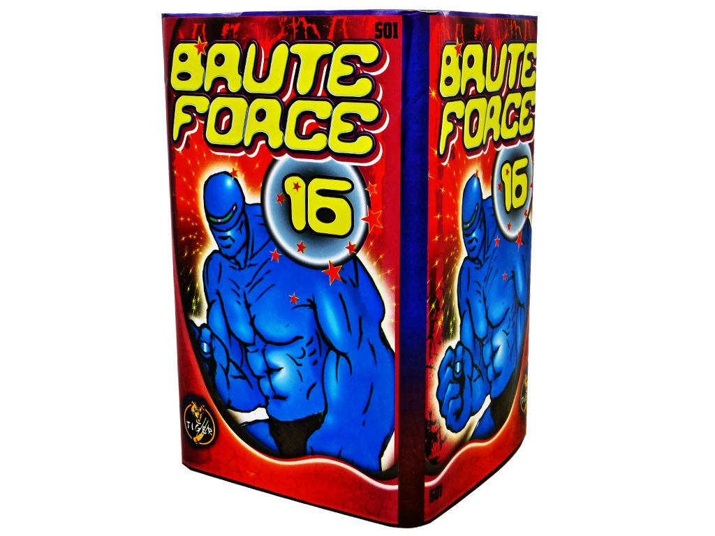 BRUTE FORCE - 16 ran